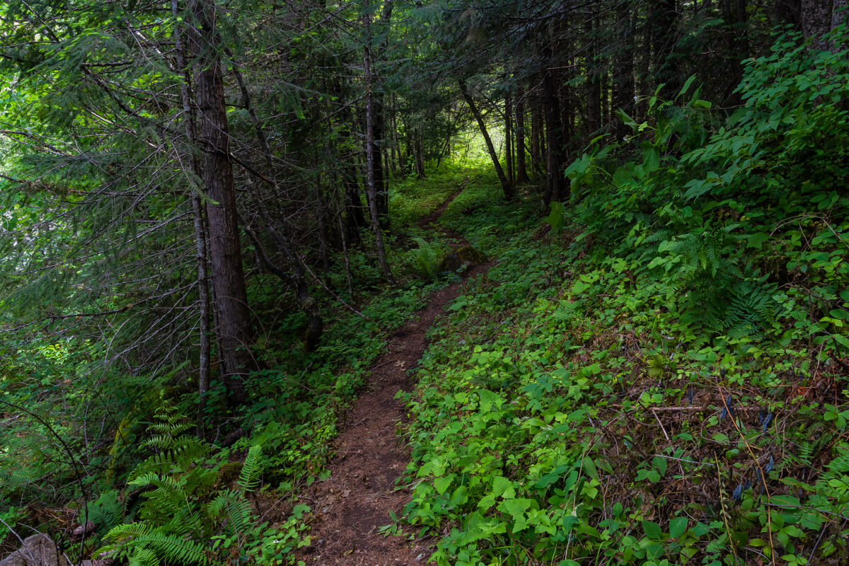 Split Creek Ridge Trail Nspire Magazine Pacific Northwest Living