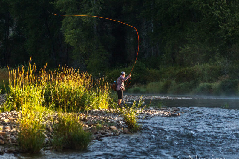 Fly Fishing the Saint Joe | Nspire Magazine