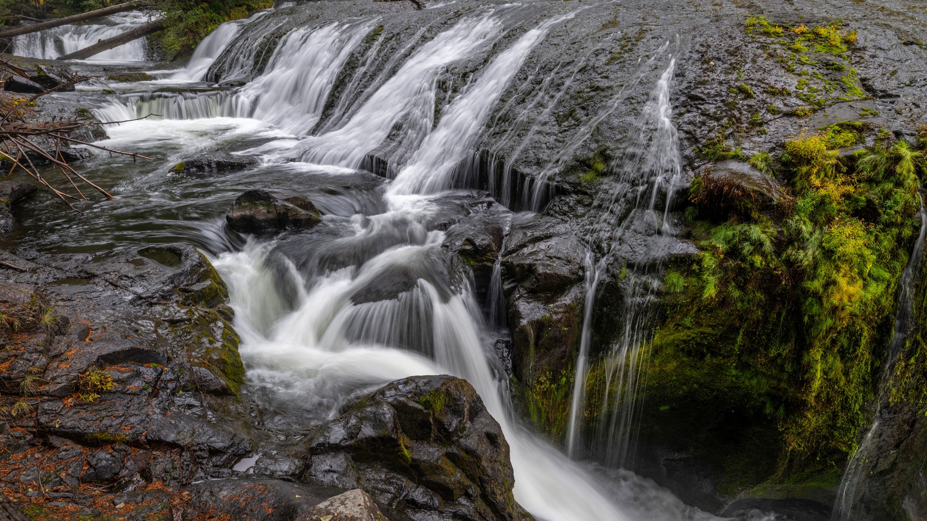 Lewis River Trail #31
.
Where to celebrate after:
Around the campfire.
.
Photography by: @joelrinerphotography