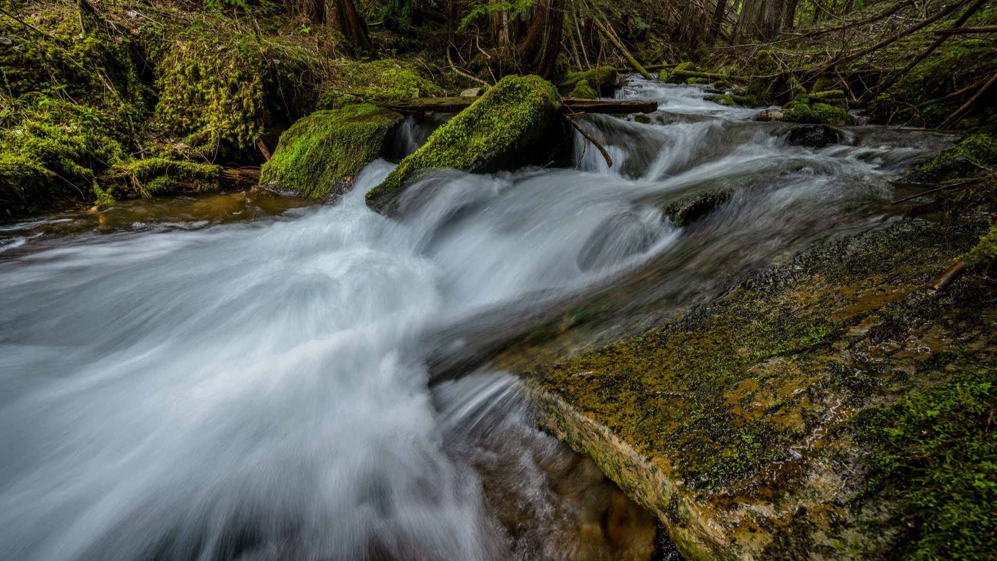 Coal Creek - Kingston, ID
.
"In the spring the water flow is pretty strong and, if you’re a photographer, there are places all along the creek to get creative with a camera."
.
Photography by: @joelrinerphotography