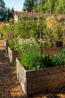 Choosing the Perfect Garden For You - Pacific Northwest Living