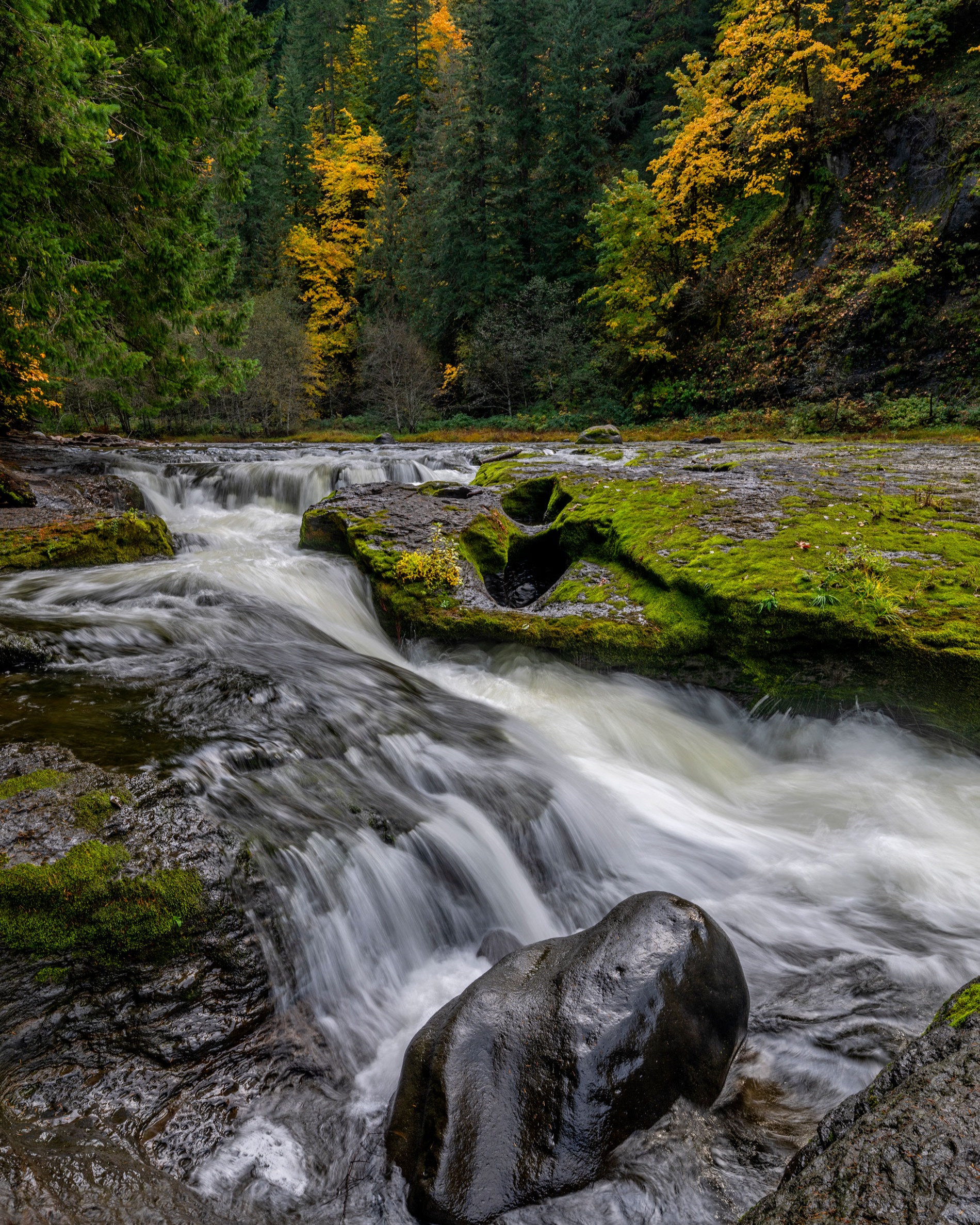 Lewis River Trail #31
.
"This area is remote, a bit of a trek to get to but still is a popular destination. Once you are there you’ll see why it offers up so many beautiful scenes to take in."
.
Photography by: @joelrinerphotography