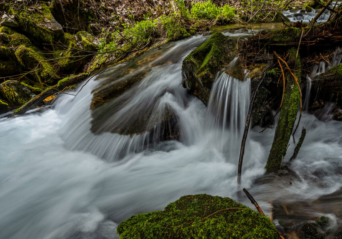 Coal Creek - Kingston, Id - Nspire Magazine - Pacific Northwest Living