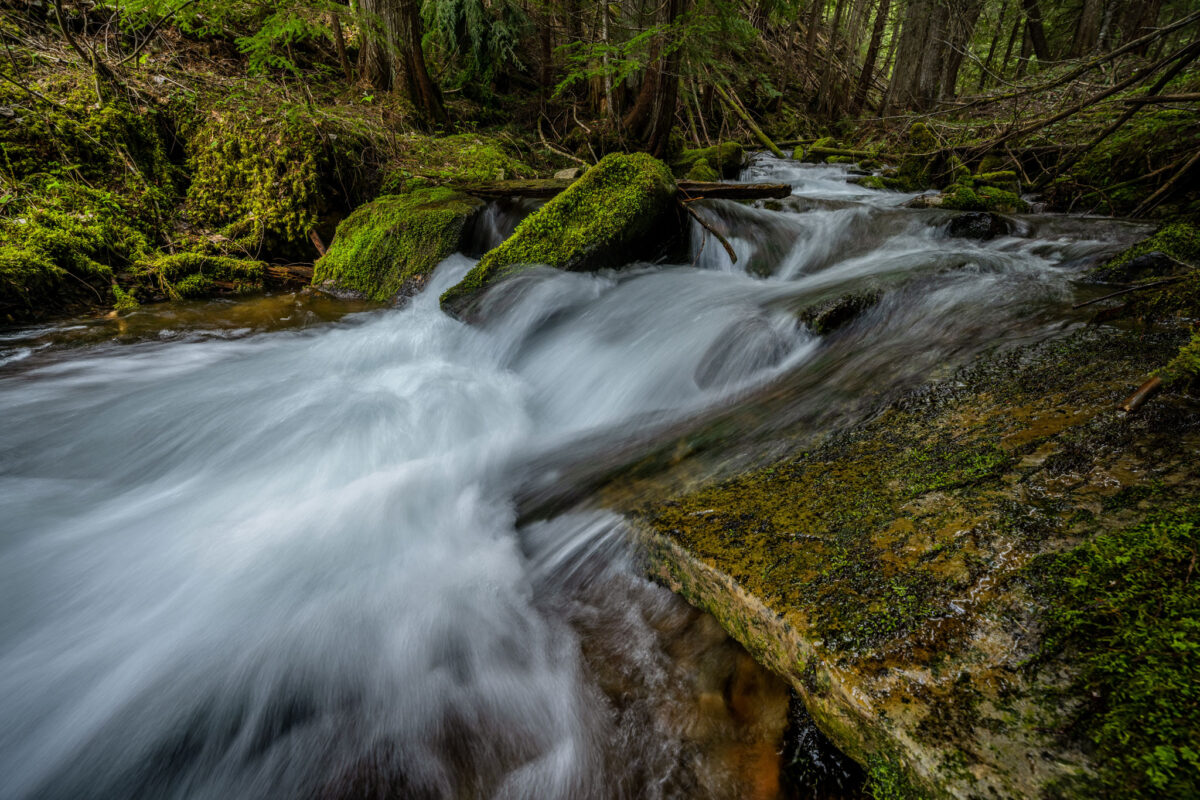 Coal Creek - Kingston, ID - Nspire Magazine - Pacific Northwest Living