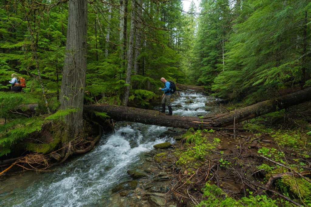 Skookum Creek Trail 193 - Nspire Magazine - Pacific Northwest Living