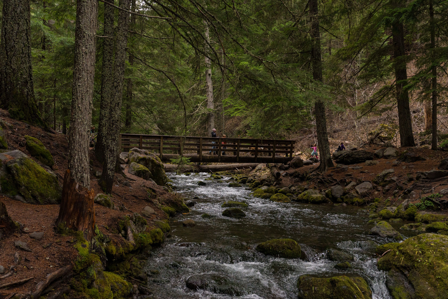 Tamanawas Falls 
.
"After scrambling up through the crux of the hike, an impressive basalt talus field, hikers reach a crest and shortly thereafter are treated to the massive Tamanawas Falls pouring over a sharp edge and free-falling to the rocks below."
.
By: @cdcphotography88