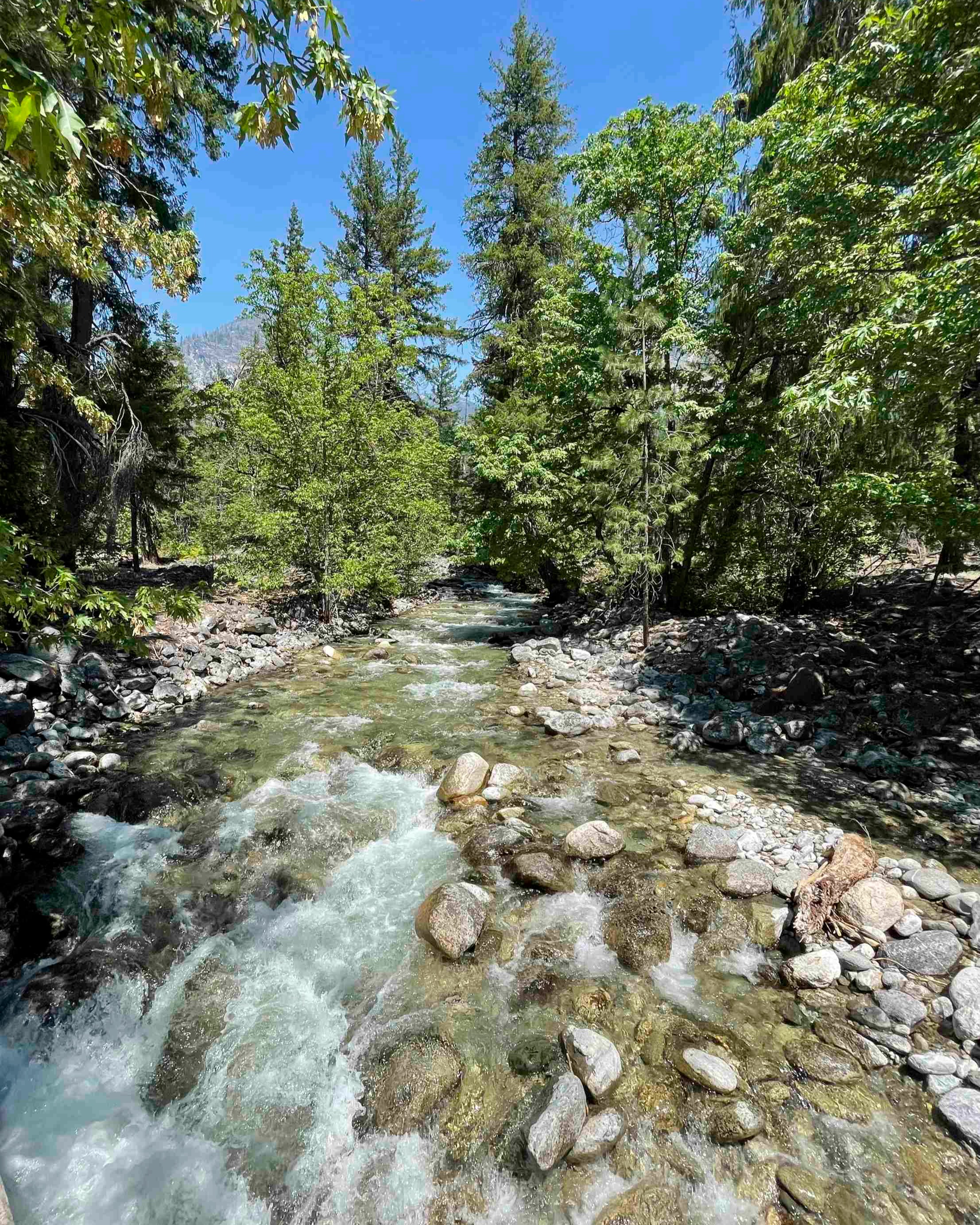 A Hidden Gem-In North Central Washington
.
"Similar to Coeur d’Alene Lake, Lake Chelan has approximately 110 miles of shoreline. It is roughly 50 miles long and, on average, over a mile wide. Interestingly, it is the third-deepest natural lake in the country behind Lake Tahoe and Crater Lake. In fact, the lake reaches a depth of 400 feet below sea level!"
.
By: Denise Lundy