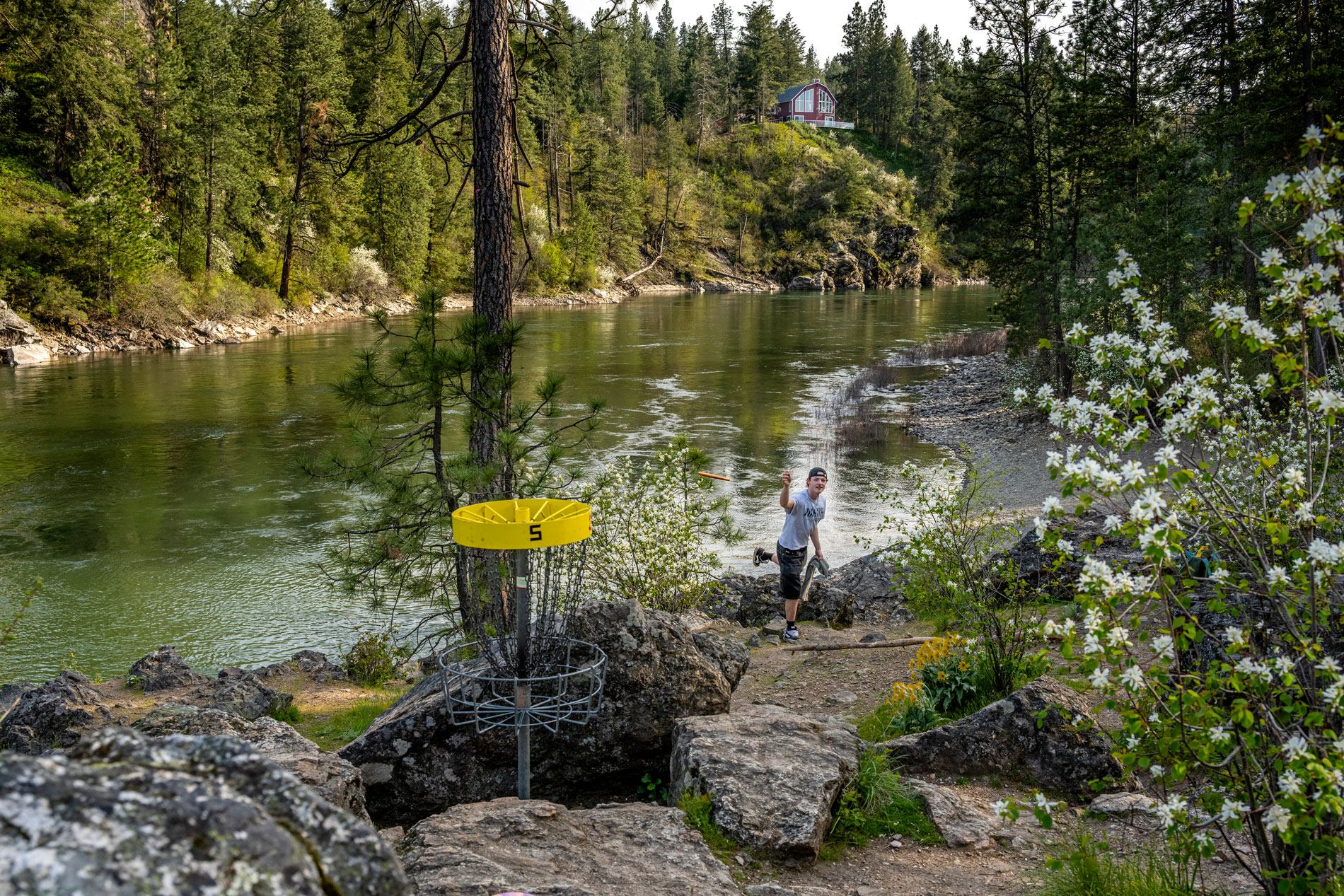 Disk Golf - Nspire Magazine - Pacific Northwest Living